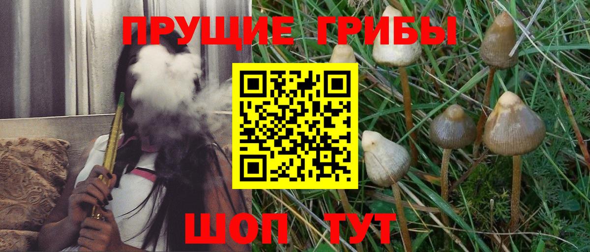 Псилоцибиновые грибы прущие грибы Златоуст